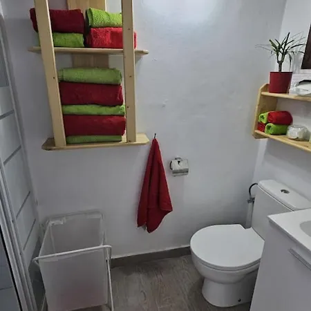 De Conchi, De Habita.